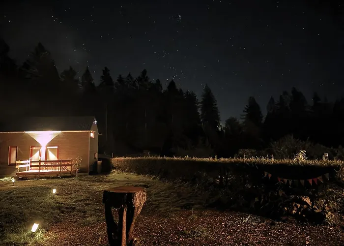 Tinyhouse Wald-woody *